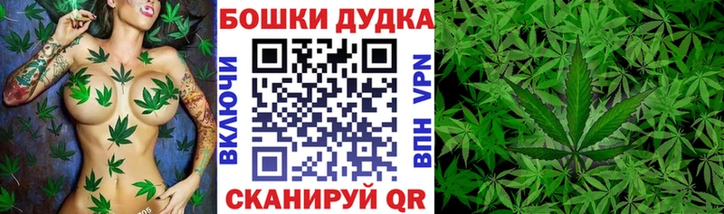 Купить наркотик Рудня Галлюциногенные грибы  Меф  MEGA ссылка  Гашиш 