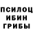 Псилоцибиновые грибы GOLDEN TEACHER Hobbit Lord