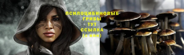 MDMA Армянск