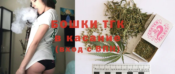 тгк Струнино