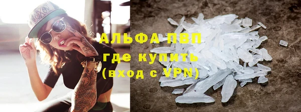 PSILOCYBIN Аркадак